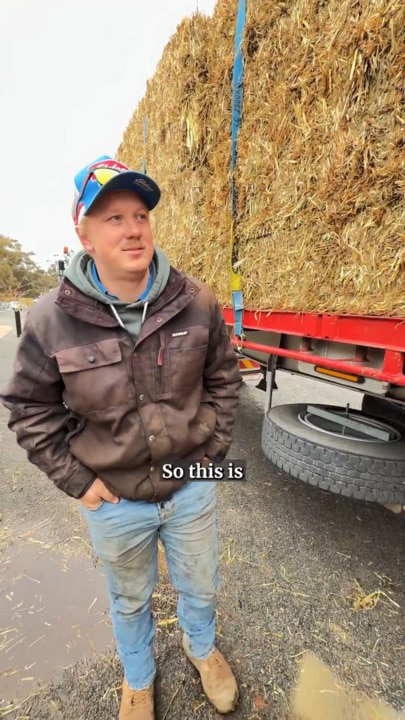 Dust and desperation: Inside the fight to save SA’s farming future