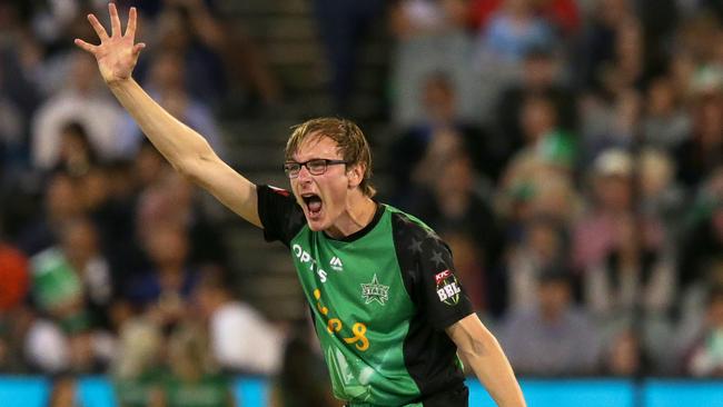 Liam Bowe of the Melbourne Stars appeals at Melbourne Cricket Ground. (Photo by George Salpigtidis/Getty Images)