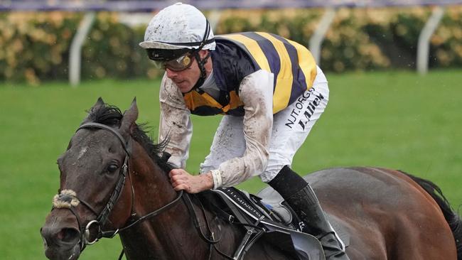 Jockey John Allen rides Downdraft to victory in the Lexus Hotham Stakes. Pic: AAP