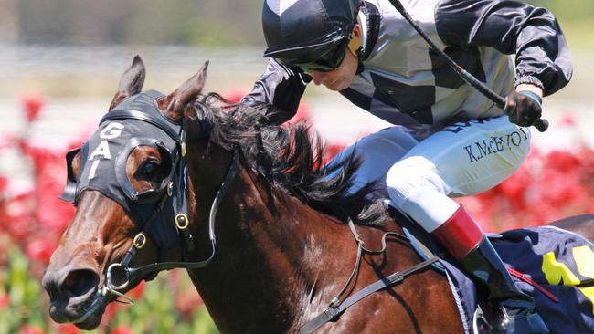 Serena Bay is a dominant favourite for the Clarendon Stakes. Picture: Jenny Evans