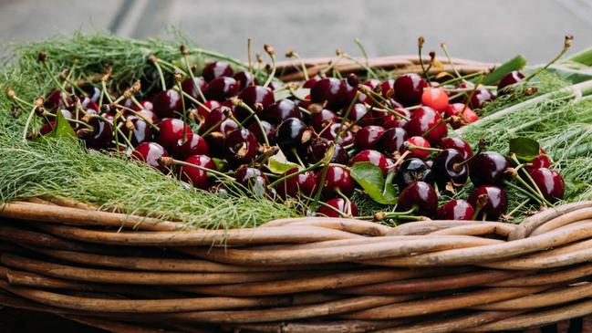 There’s good news for cherry consumers this Christmas, but the season won’t be as merry for growers. Picture: Jacquie Manning