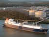 Government to review status of gas supply quarterly