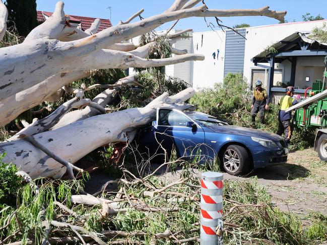 Storm Damage, Coolangatta Tweed area. Five cars were badly damaged and the Freckles Kindergarten building when a giant tree fell during the storm at Tweed heads. Picture Glenn Hampson