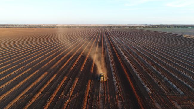 Rural Funds Group owns a number of orchards, farms and cattle stations.