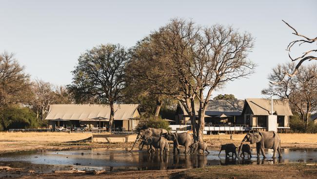 The wildlife is never far from Mpala Jena.