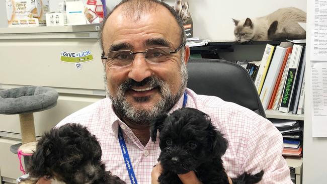 Former RSPCA general manager George Costi was dismissed in 2021 amid turmoil at the organisation. Picture: Facebook.