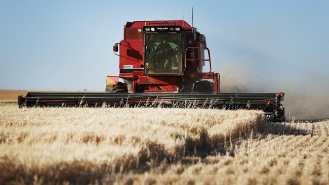 Trade Minister Simon Birmingham says Australia will consider all avenues to protect its barley farmers. Picture: Rohan Kelly