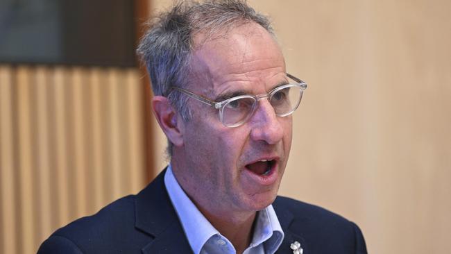 Senator Nick McKim during questioning of Woolworths chief Brad Banducci. Picture: Martin Ollman