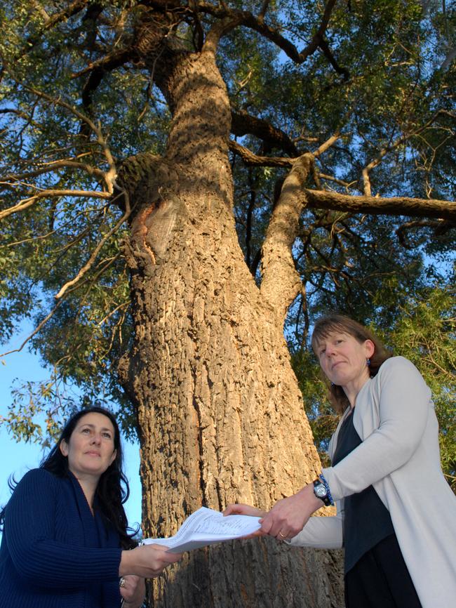 Barbara Davis from the Beecroft Cheltenham Civic Trust and Bernadette Azizi.