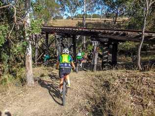 EASY RIDER: Grab your bike and get out on the Brisbane Valley Rail Trail. Picture: Bicycle Queensland