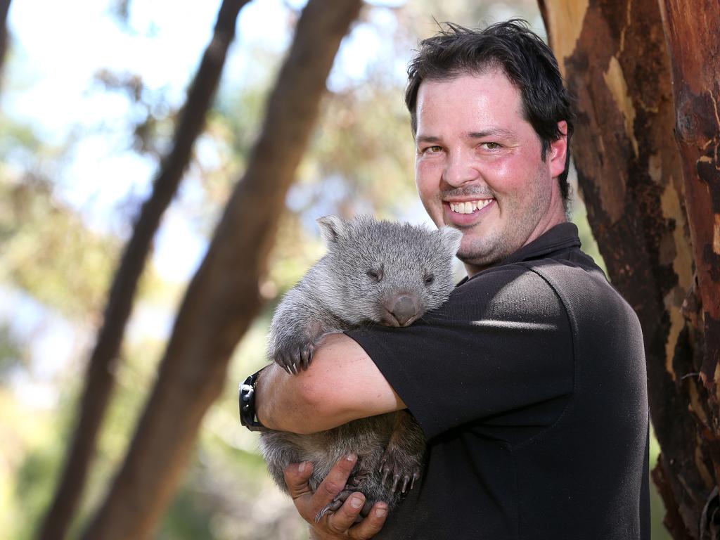 9. GREG IRONS - Class of 2001. Director of Bonorong Wildlife Sanctuary. With no wildlife rescue service operating out of business hours, Greg set up Friends of Carers Wildlife Program. He became director of the sanctuary at 25. Irons is also a familiar face in the children’s ward of the Royal Hobart Hospital visiting with baby wombats and blue tongue lizards. Picture: CHRIS KIDD