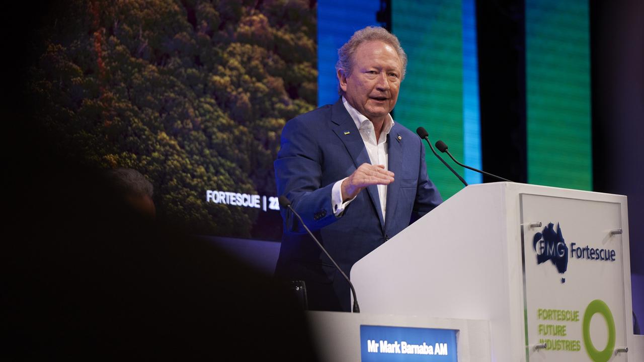 Fortescue Metals Group executive chairman Andrew Forrest.