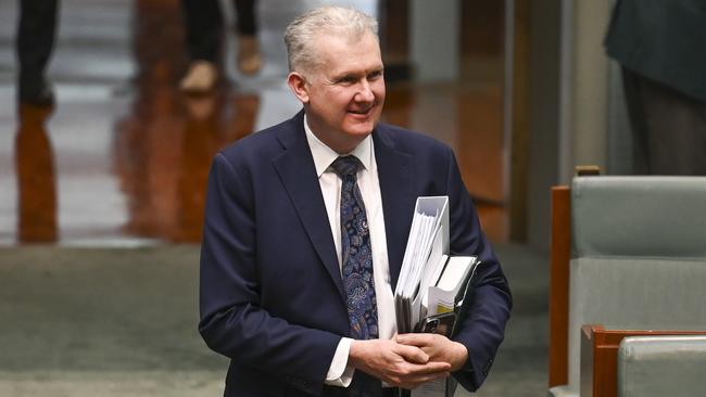 Home Affairs Minister Tony Burke. Picture: Martin Ollman