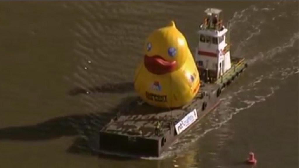 Giant rubber ducky arrives in Brisbane (2014)