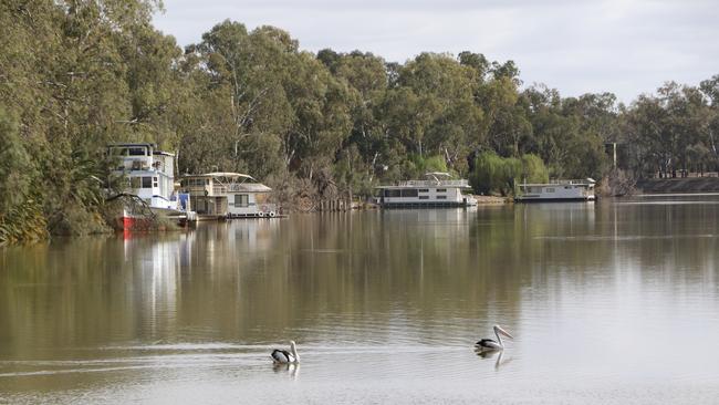 A business is accused of taking water from the Murray River at Mildura without authorisation.