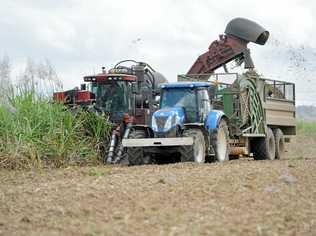 Cane growers are concerned with the way they see the industry going. Picture: Tony Martin