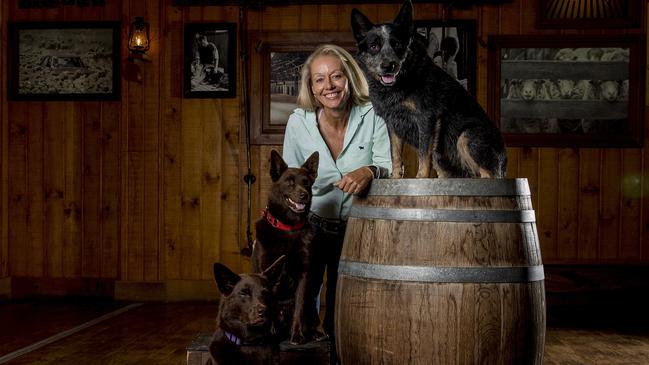 Handler and trainer is Heidi Mackay with dogs, Oi (on the ground), Red (on Box) from Outback Spectacular who play Red Dog and also with dog, Blue. Picture: Jerad Williams