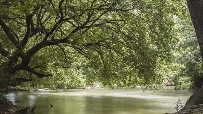 Wilsons Creek, Mullumbimby. Picture: Wilsons Water Rights website