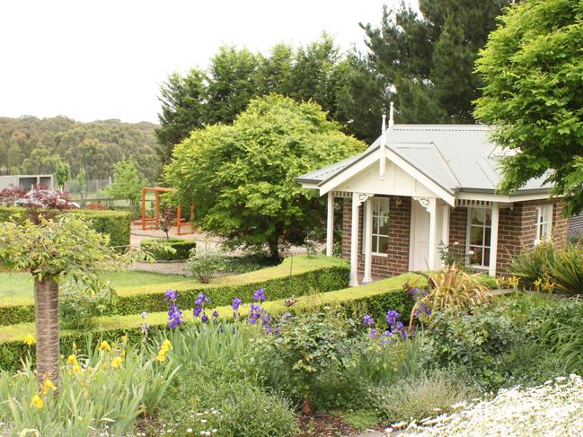 Albertine garden For Life Open Garden Mar 21 Image supplied