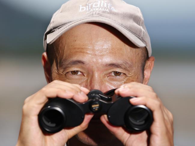 Birdwatchers are excited to see the rare birds near Bucketty.