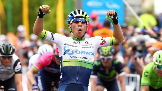 TOUR DOWN UNDER - Stage 1 - Prospect to Lyndoch. Caleb Ewan does it again winning the first stage. Photo Sarah Reed.