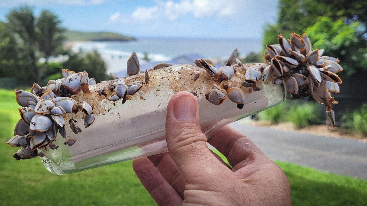 A NSW swimmer found this bottle while diving. Picture: Facebook