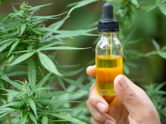 The consensus is out on cannabis oil. Picture: iStock