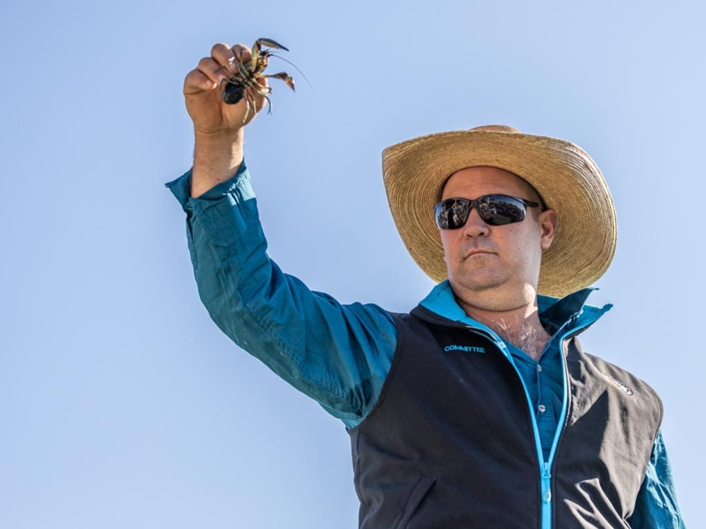 Yabby Races at the Tara Camel Races. Photo: Jo Thieme.