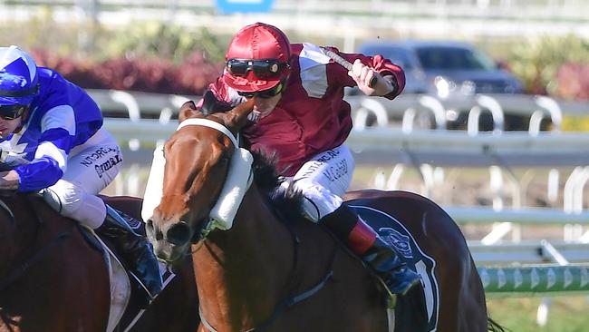 Plutocrat will continue her journey to the Magic Millions. Picture: Trackside Photography