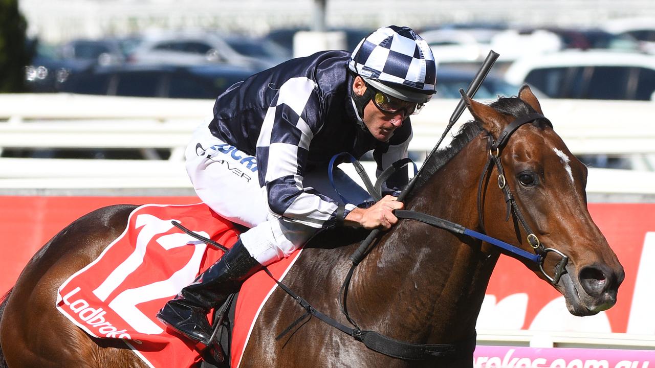 Damien Oliver booked for Grinzinger Star in SA Derby | The Advertiser