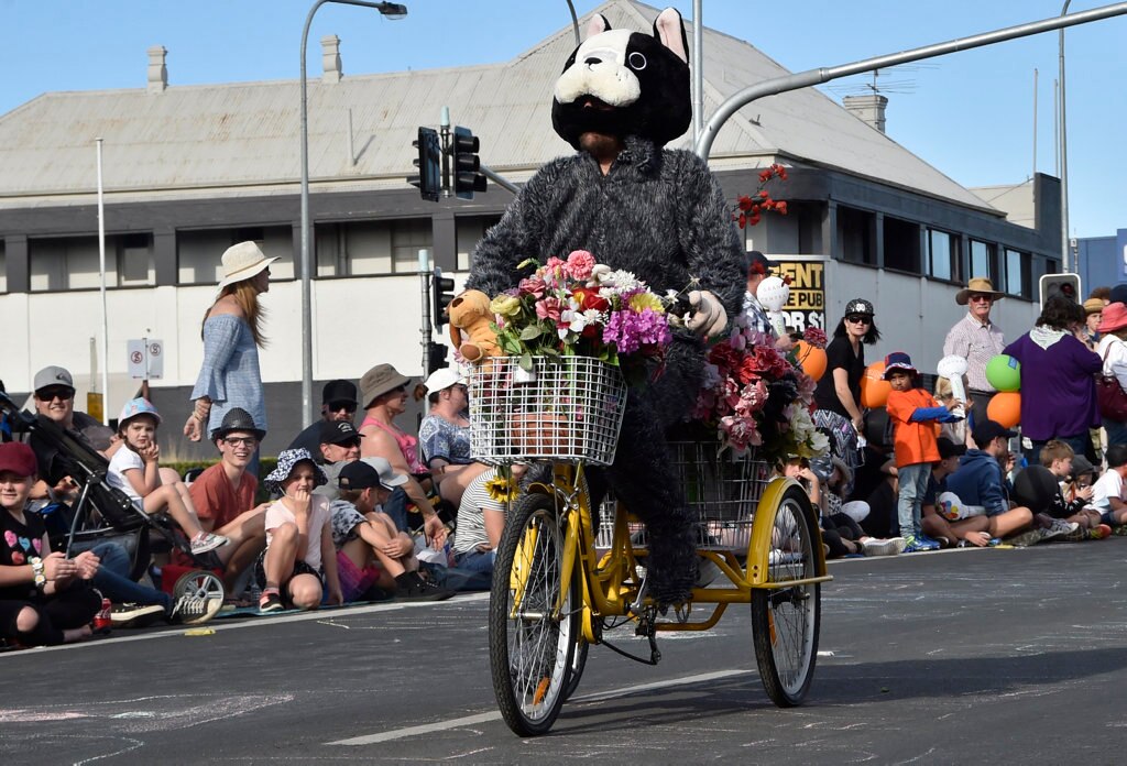 Jeffrey Talbot won best dressed bicycle. Grand Central Floral Parade. Carnival of Flowers 2017. September 2017