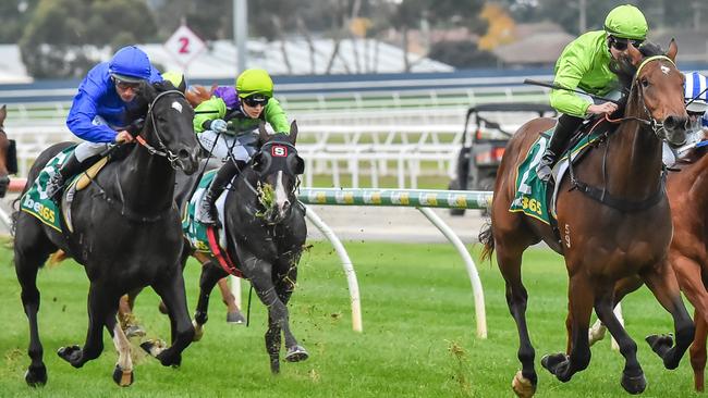 Legio Ten (blue) has good Victorian form including a second to Berkeley Square (lime green) Picture: Getty Images