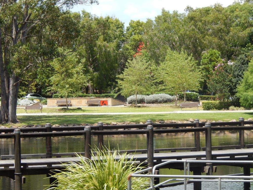 Botanic Gardens, Benowa Picture: Bob Fairless