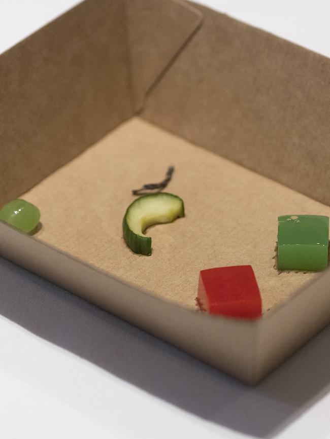 One of the “taste boxes” given to participants at Ole Mouritsen’s talk. Picture: BRAD HARRIS