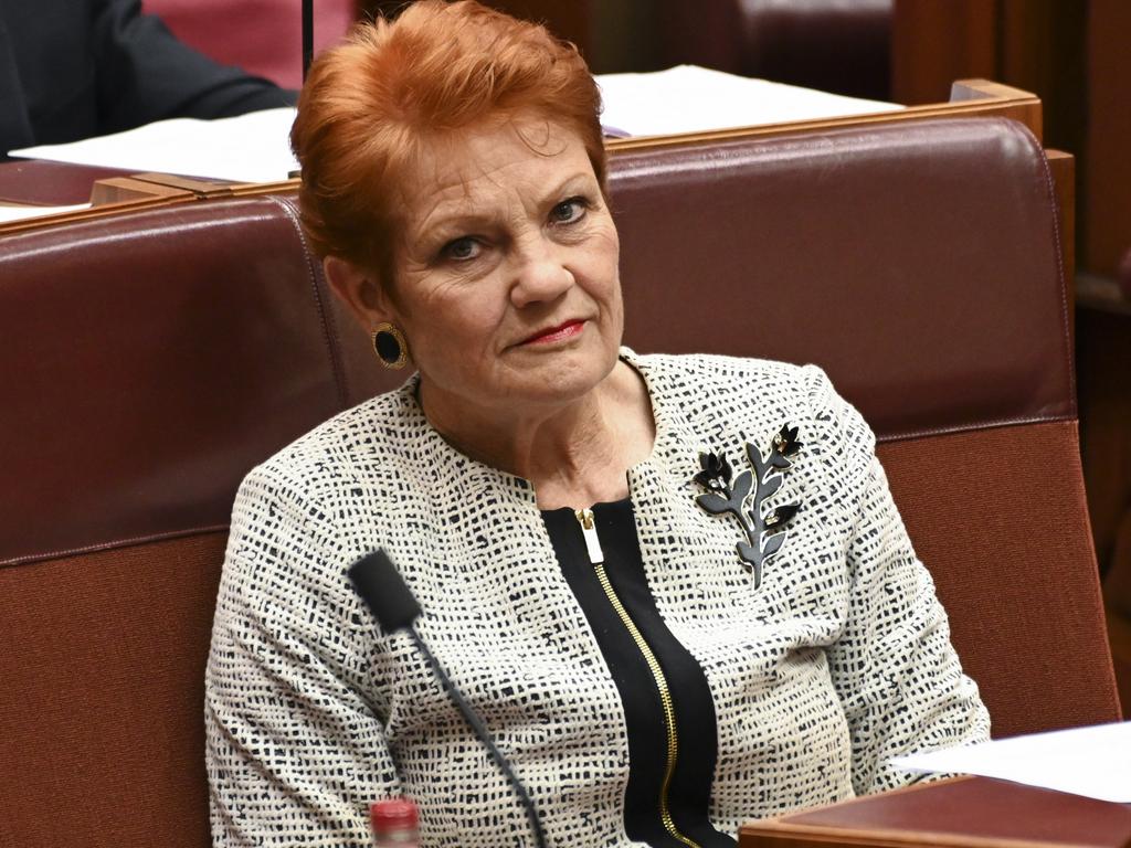 Senator Pauline Hanson, from Queensland, called out Senator Faruqi’s post and has been backed by thousands of commentators online. Picture: NCA NewsWire / Martin Ollman