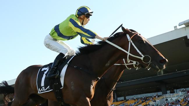 Kalapour nearly didn’t run in the Tancred Stakes. Picture: Jeremy Ng/Getty Images