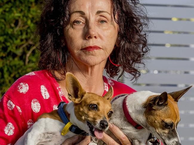 Kaye McKinnon was fined $1000 after  one of her two mini foxy's ( red collar, Jaque and blue Poppy) scratched a woman in her building in Broadbeach. She believes the council officer acted out of order..  Picture: Jerad Williams