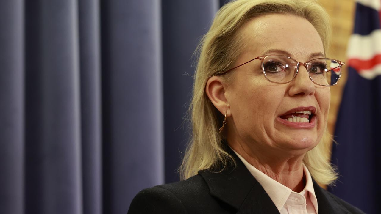 Maiden: Bitter text reveals grubby truth inside Liberal Party