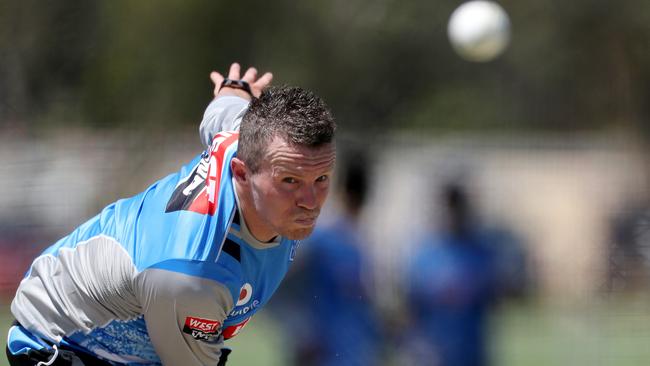 Peter Siddle is a key in for the Strikers. Picture: Calum Robertson