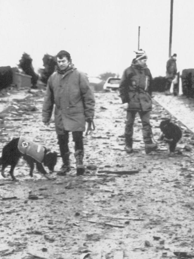 Specially trained dogs sniff for human remains in the mud.