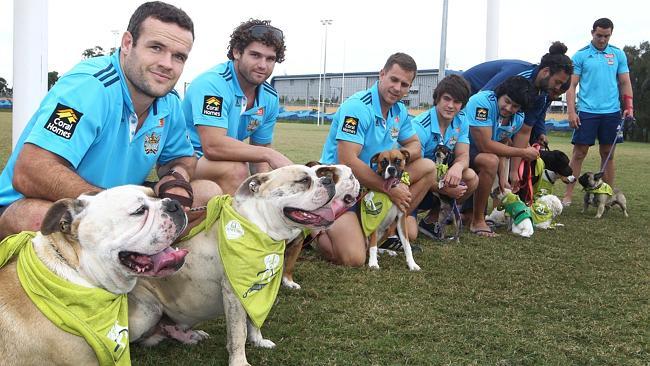 Gold Coast Titans players dogs have an obedience lesson ahead of the RSPCA million paws walk. Nate Myles with his bulldogs Snoo