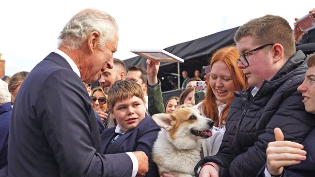 King Charles III meets a corgi called Connie in Belfast. (Photo by Niall Carson / POOL / AFP)