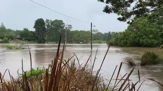 Bellinger River in flood Dec 2020