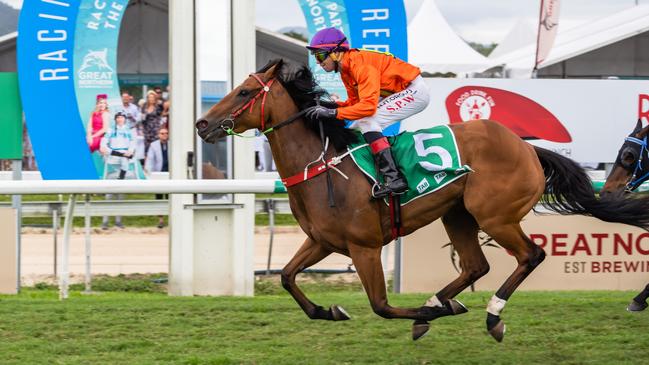 Willygood, ridden by jockey Stephen Wilson, wins the Cairns Amateurs Sprint (1400m) for trainer Roy Chillemi. Picture: Emily Barker