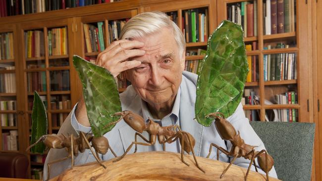 Harvard University Professor Edward Wilson’s ideas on inherited behaviour sparked fierce debate. Picture: Getty Images