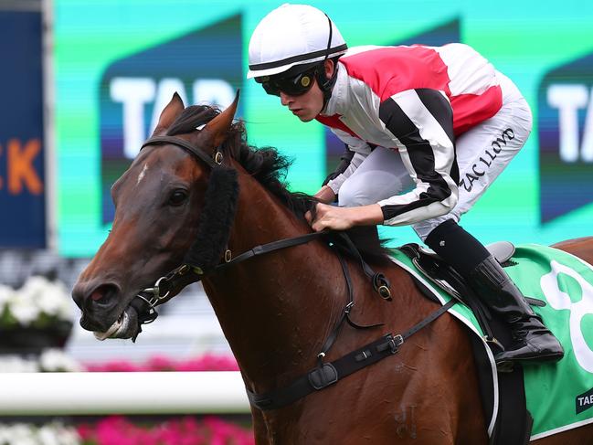 SYDNEY, AUSTRALIA - JANUARY 27: Zac Lloyd riding Zou Tiger wins Race 7 TAB Carrington Stakes  during Sydney Racing at Royal Randwick Racecourse on January 27, 2024 in Sydney, Australia. (Photo by Jeremy Ng/Getty Images)