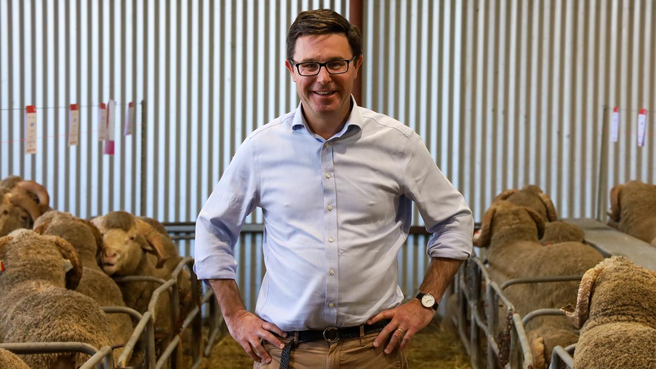 Nationals leader David Littleproud at a rams sale. Picture: Supplied