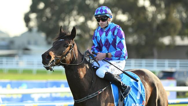 The stable is confident Pride of Jenni will bounce back in the Group 1 Makybe Diva Stakes at Flemington. Picture: Vince Caligiuri/Getty Images