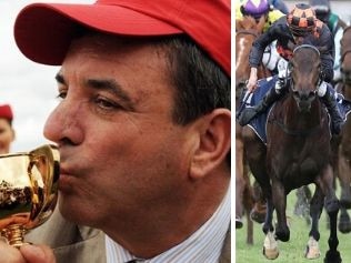 Top trainer Mark Kavanagh won the Melbourne Cup a decade ago with Shocking, now he hopes Vegas Jewel can follow in his star sire's hoofprints.