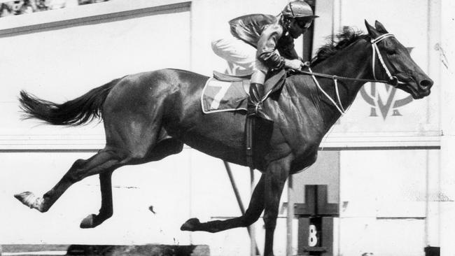 Just A Dash, ridden by jockey Peter Cook, wins the 1981 Melbourne Cup for trainer TJ Smith and owner Lloyd Williams. Picture: File